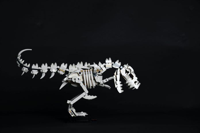 apolo-photographer-HRYxvYDwxMc-unsplash