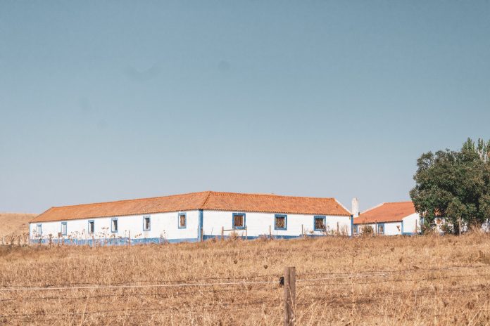 joao-reguengos-i3ovwTCX27o-unsplash