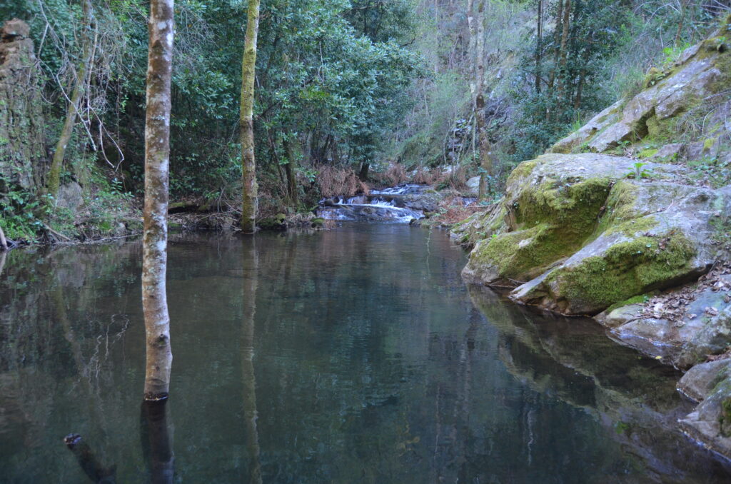 Paçô River Portugal