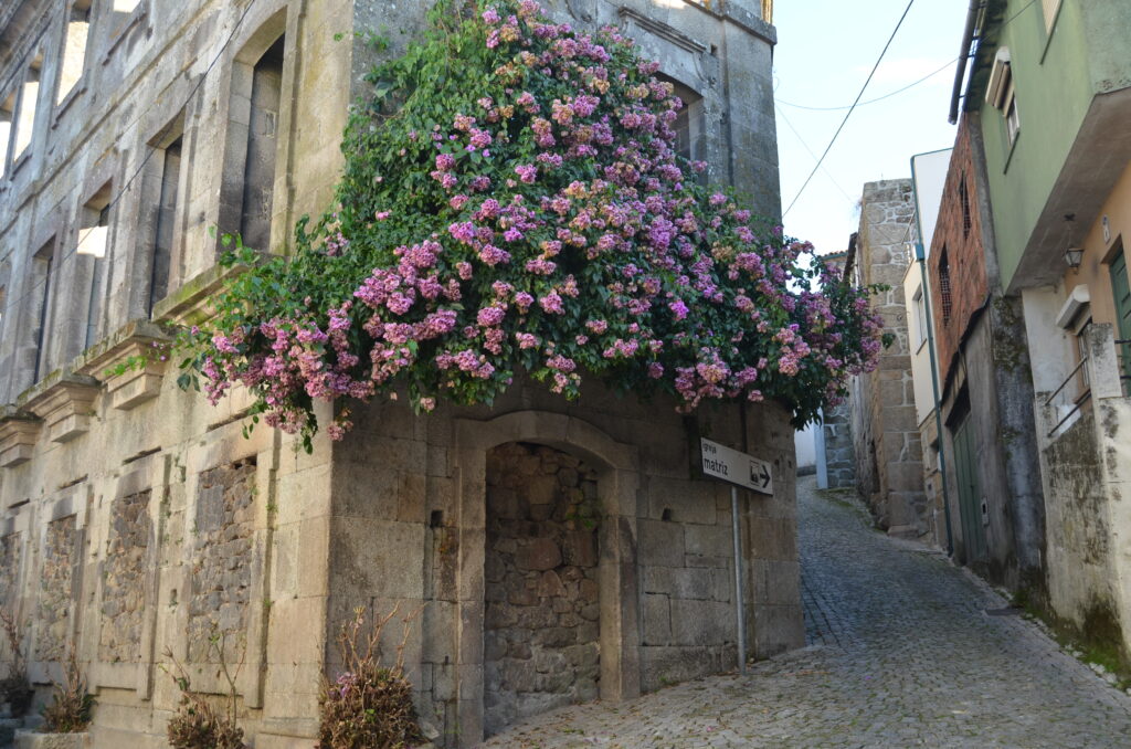 Aldeia das Dez Village Portugal