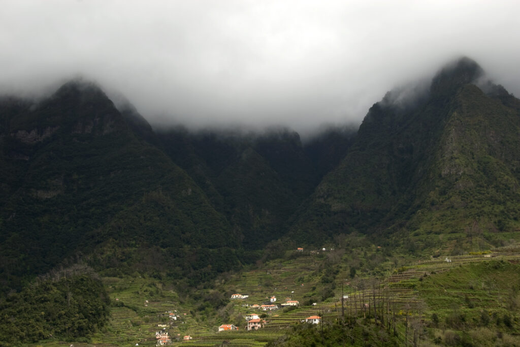 Laurisilva Forest Madeira Island Portugal