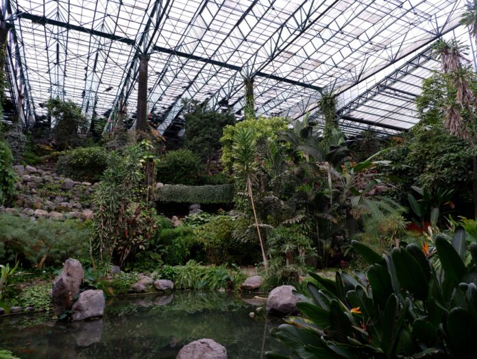 estufa-fria-lisbon Estufa Fria, Lisbon