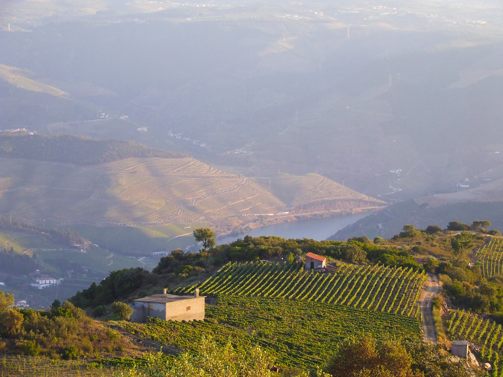 Douro Valley Portugal