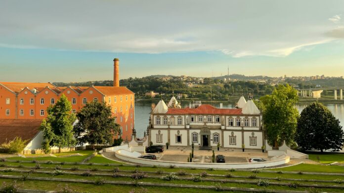 pexels-egor-kunovsky-1199972-18381583