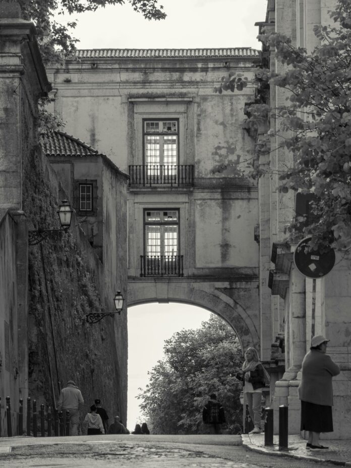 pexels-joao-aldeia-1232168247-23391623