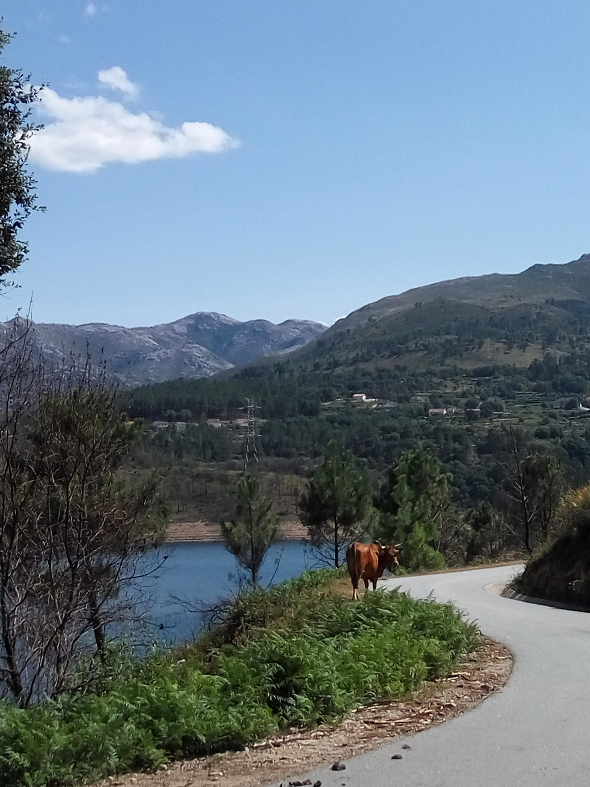 Villages and small towns in Portugal, Varzea
