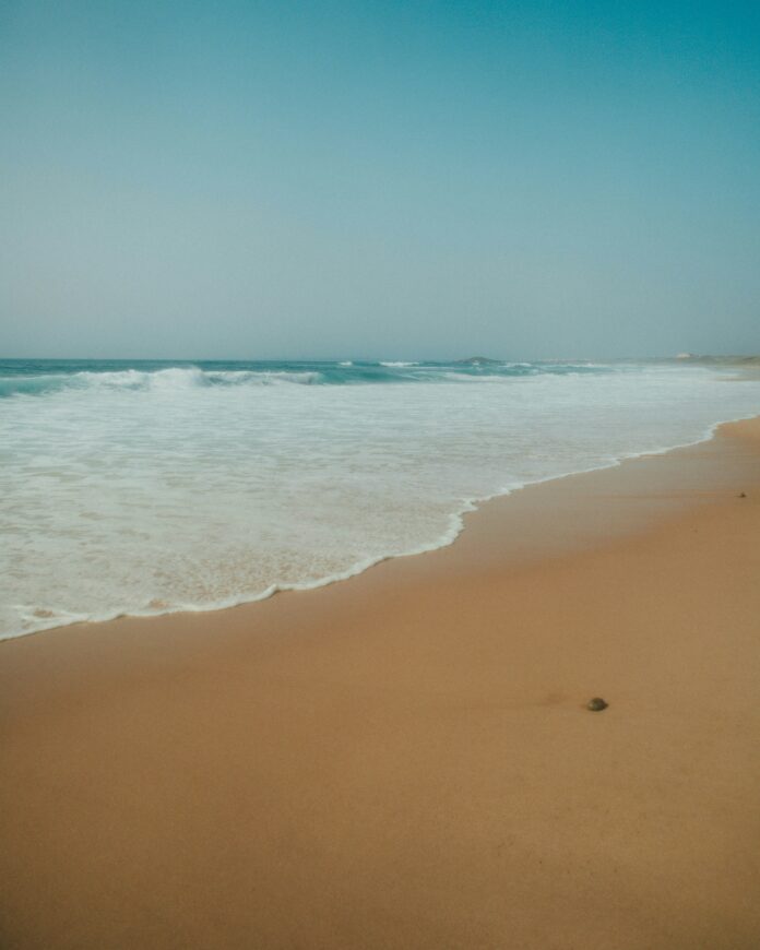 mariana-bras-1xm0wGM8CIs-unsplash